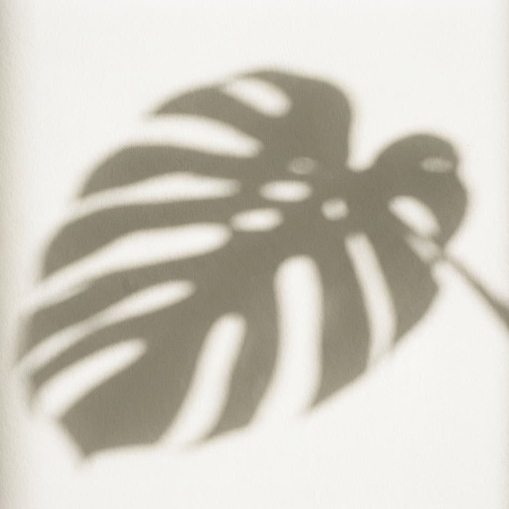 Monstera Leaf Shadow